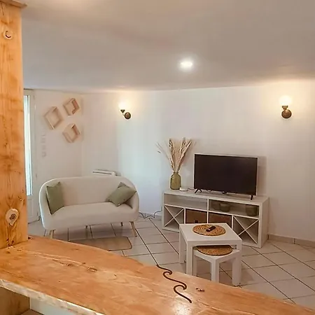 Le Galon D'or Holiday home La Tremblade